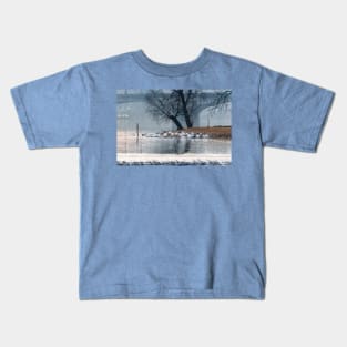 Swans in Prague Kids T-Shirt